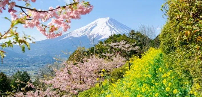松田町