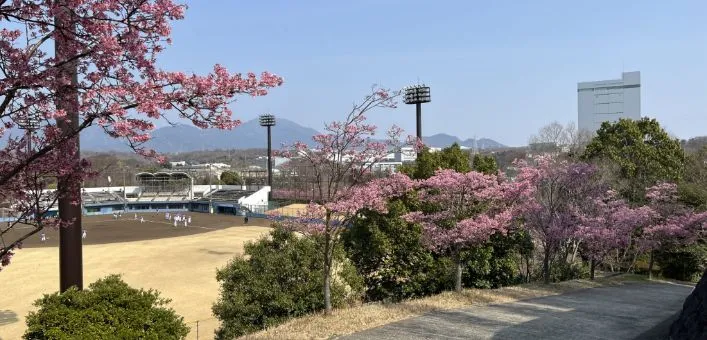 中井町