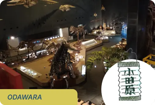 小田原市