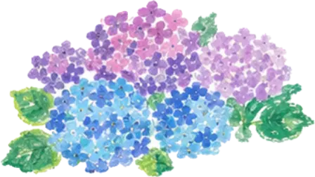 あじさいのイラスト
