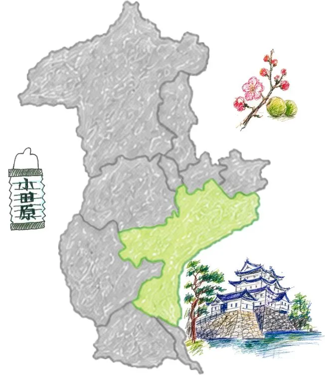 小田原市