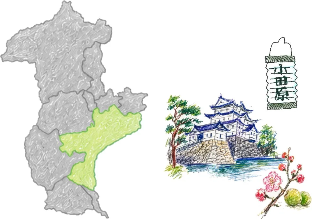 小田原市