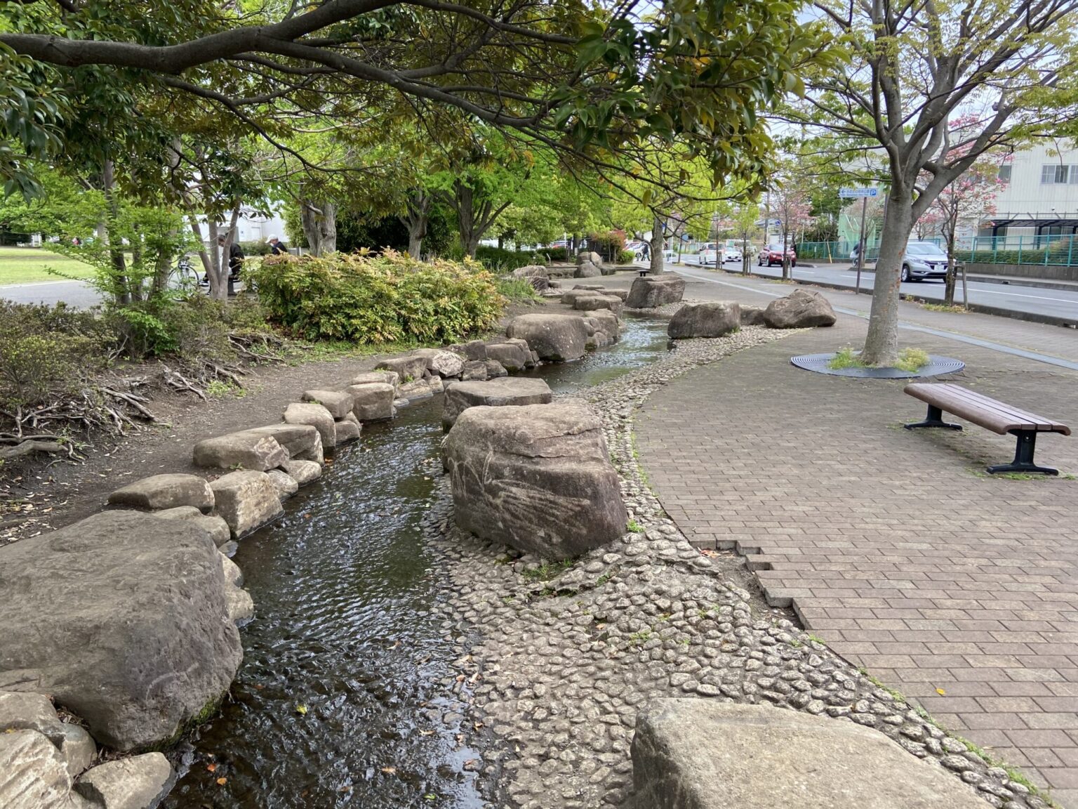 寒川町の桜の名所『さむかわ中央公園』は、話題の“パンプトラック”も楽しめます！ 地元をもっと知る！地域の情報ポータルサイト・JIMOTTO（ジモット）